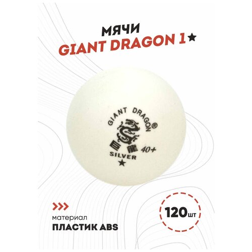 Мячи Dragon Training Silver 1* (120 шт., белые)