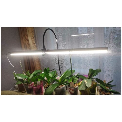 Кронштейн для фитолампы настольный, высота 100 см, черный