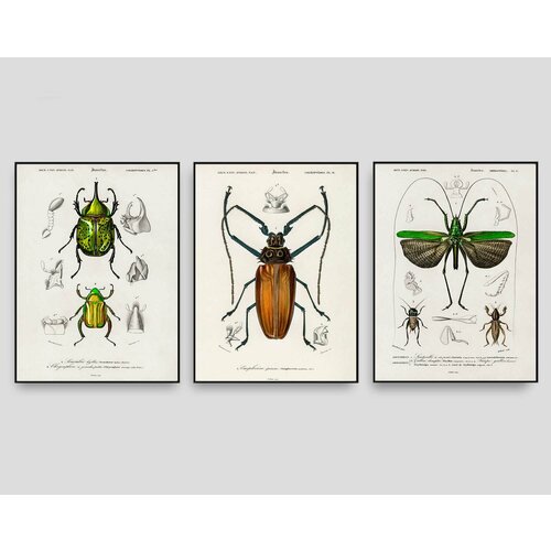 Набор постеров - 