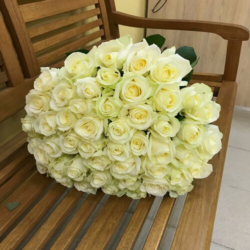 Изображение товара Живые цветы букет белых роз аваланж 51 шт. 40 см. "Белые ночи"