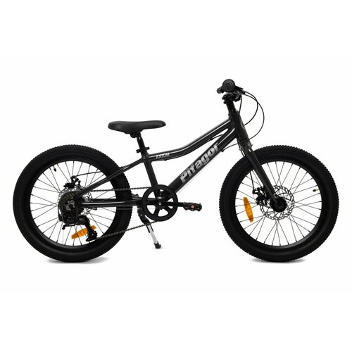 Детский велосипед Pifagor Axiom 20 (2024) 20 Черный (120-140 см)