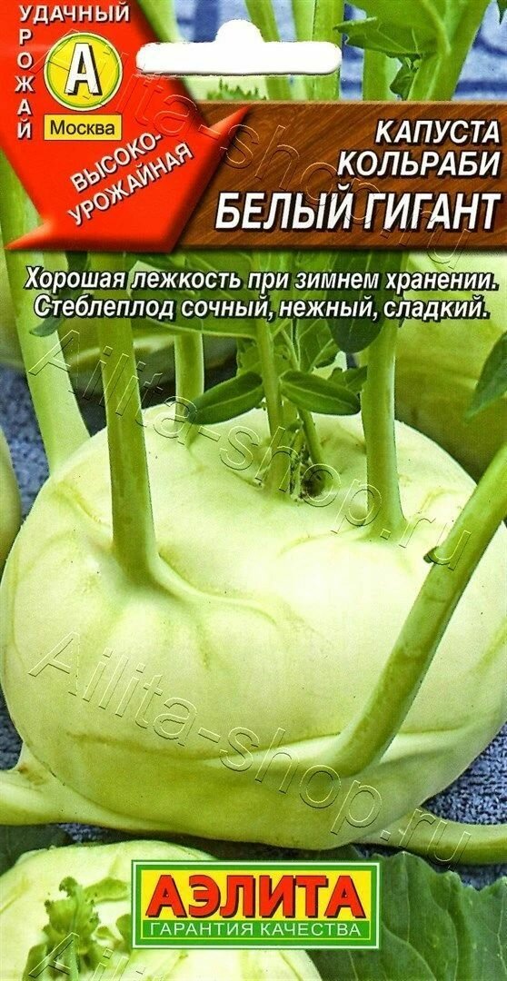 Капуста кольраби Белый гигант (3 упаковки) семена