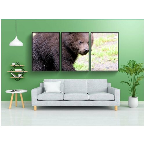 фото Набор модулных постеров для интерьера "бурый медведь, ursus arctos, камчатский медведь" 60x90 см. в тубусе, без рамки lotsprints