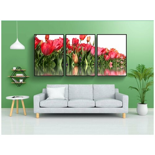 фото Набор модулных постеров для интерьера "тюльпаны, изолированный, красный" 60x90 см. в тубусе, без рамки lotsprints