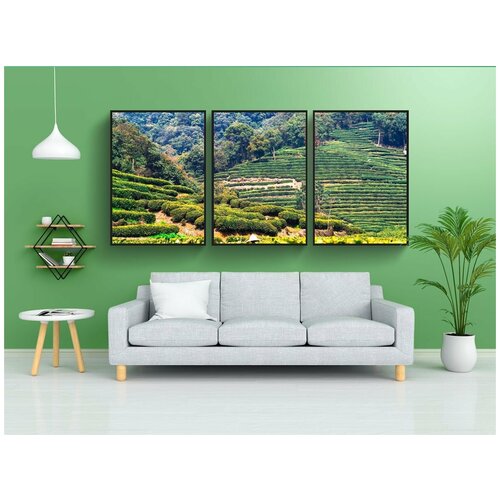 фото Набор модулных постеров для интерьера "чай, ферма, китай" 60x90 см. в тубусе, без рамки lotsprints