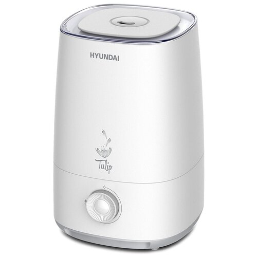 Увлажнитель воздуха Hyundai H-HU8M-40-UI184 350900₽