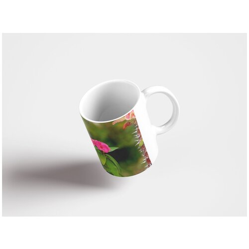 фото Кружка "шипы христа, молочай milii, остров реюньон 320 мл. белая lotsprints