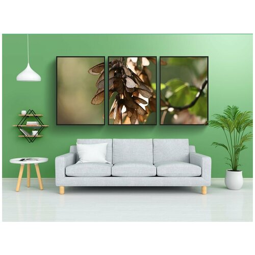 фото Набор модулных постеров для интерьера "падение, семена клена, fluegelfruechte" 60x90 см. в тубусе, без рамки lotsprints