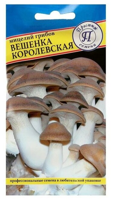 Мицелий грибов Вешенка королевская 12 шт