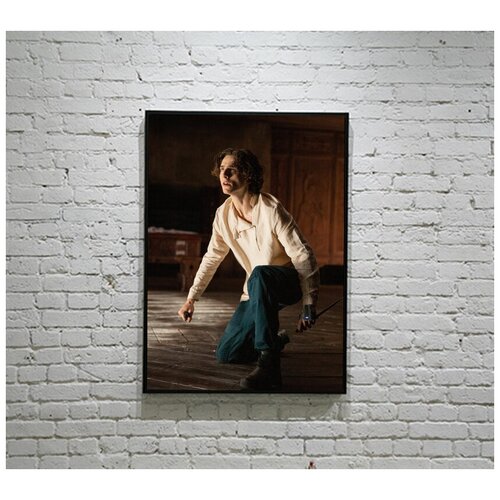 Постер 60х80. Тимоти Шаламе, Арми Хаммер/Timothee Shalamet, Armie Hammer. Назови меня своим именем