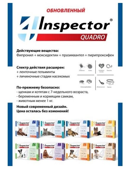 Inspector раствор от блох и клещей Quadro С с 1 до 4 кг для собак, щенков, кошек, для домашних животных 1 шт. в уп., 1 уп.