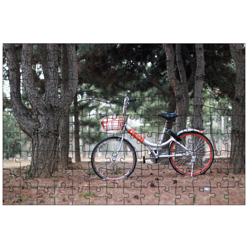фото Магнитный пазл 27x18см."велосипед, маунт поклонение" на холодильник lotsprints