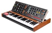 Behringer Poly D аналоговый синтезатор, 37 клавиш