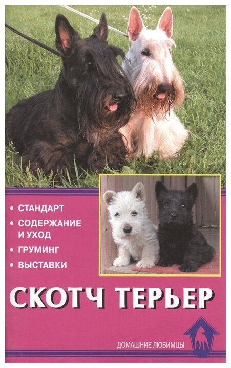 Скотч терьер. Стандарты. Содержание и уход. Груминг. Выставки - фото №1