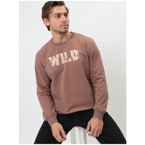 Свитшот мужской GREG G121-WILD-OZ02-02 (кофейный), Прямой силуэт / Сlassic fit, цвет Коричневый, размер 56-58