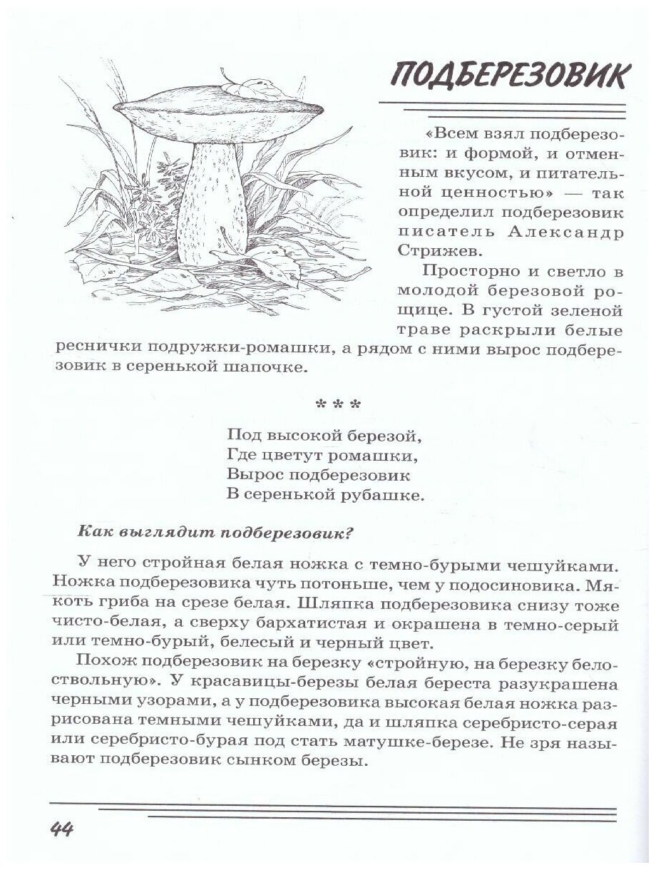 Грибы. Какие они? Книга для воспитателей, гувернеров и родителей - фото №3