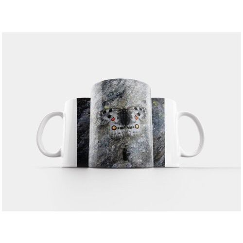 фото Кружка "бабочка, аполлон" 320 мл lotsprints