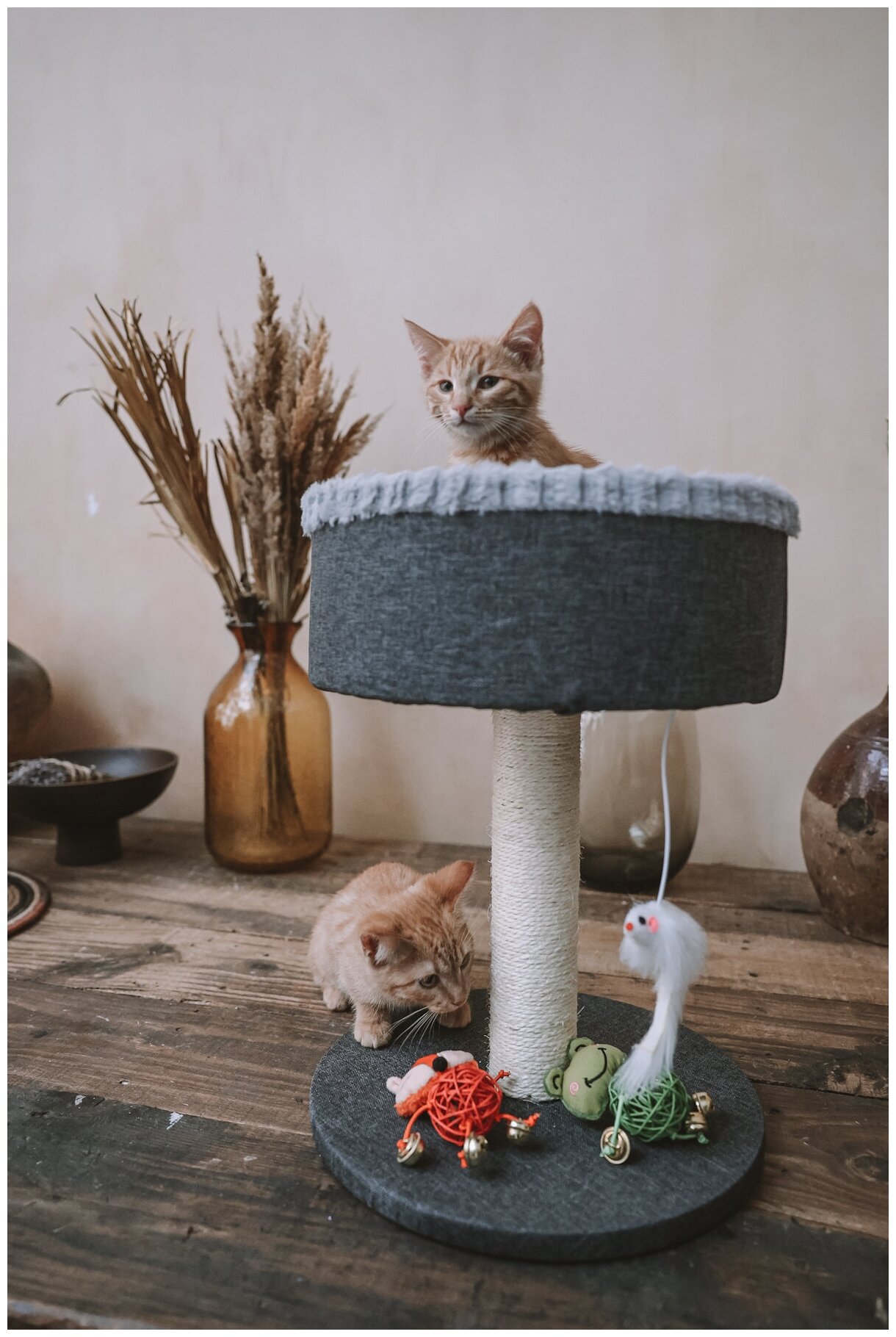 Когтеточка-лежанка для кошек, "Не Один Дома" MyPlace, серый - фотография № 5