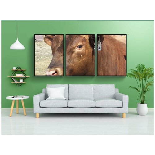 фото Набор модулных постеров для интерьера "красный, ангус, бык" 60x90 см. в тубусе, без рамки lotsprints