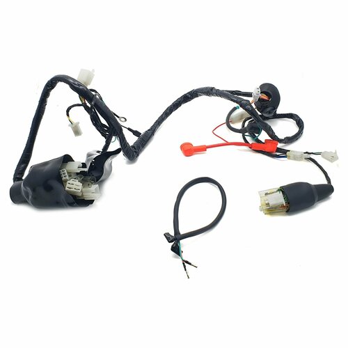 Жгут электропроводки Regulmoto TE 3000₽