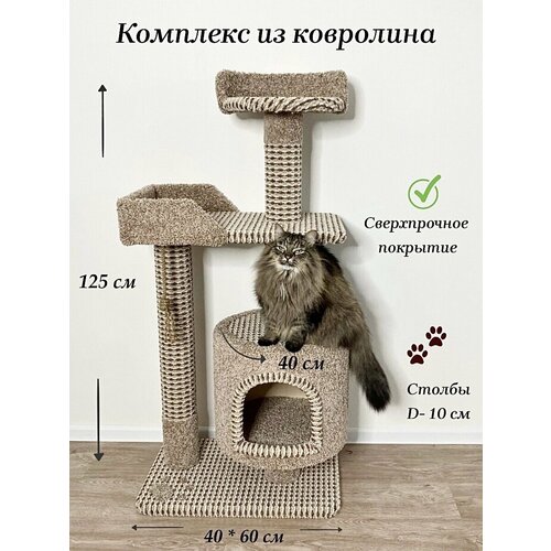 Когтеточка 