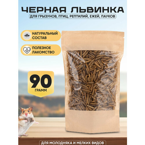 Личинка черной львинки сушеная, 600 мл