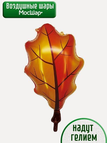 Изображение товара Воздушный фольгированный шар с гелием, шары на 1 сентября, осенний лист дубовый
