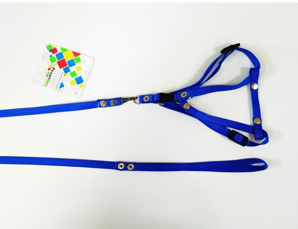 Фотографии Шлейка+поводок (PerseiLine) быстросъемная для кошек и маленьких собак, нейлон голубой