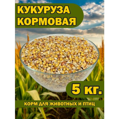 Кукуруза кормовая 5 кг. для животных и птиц