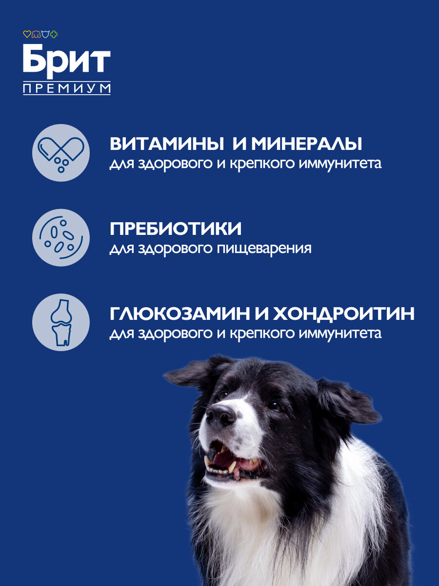 Сухой корм для собак средних пород с индейкой и телятиной 3 кг Brit Premium Dog Adult Medium — фото 1