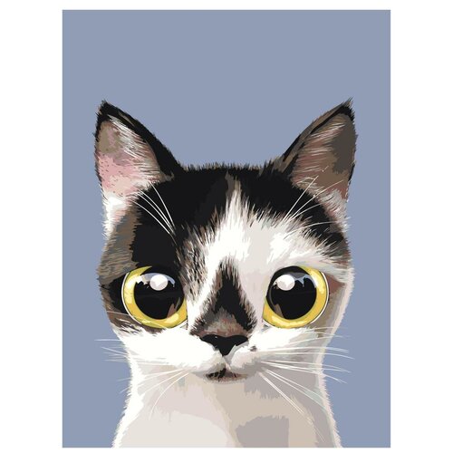 Картина по номерам, Живопись по номерам, 45 x 60, A559, котёнок, большие глаза, маленький, животное, домашний картина по номерам живопись по номерам 60 x 60 a387 кот домашний зелёные глаза котёнок животное рисунок