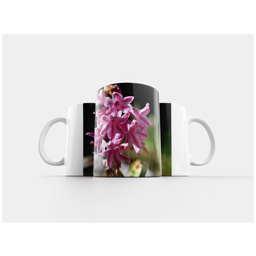 фото Кружка "гиацинт, цветок, расцветает" 320 мл lotsprints