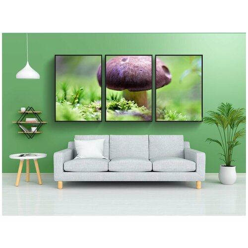 фото Набор модулных постеров для интерьера "гриб, съедобный гриб, herrenpilz" 60x90 см. в тубусе, без рамки lotsprints