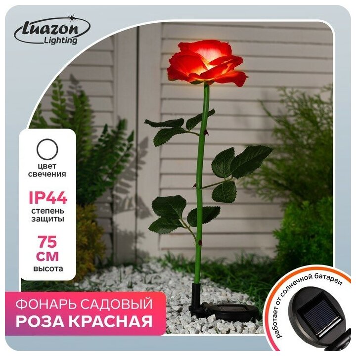 Садовый светильник на солнечной батарее «Роза красная», 75 см, 5 LED, свечение белое для дома