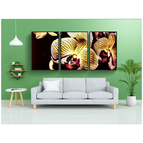 фото Набор модулных постеров для интерьера "орхидея фаленопсис, творческий, красочные цвета" 60x90 см. в тубусе, без рамки lotsprints