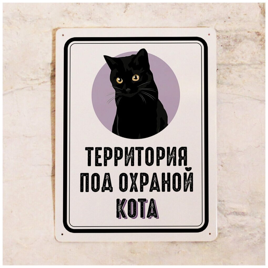 Металлическая табличка для интерьера дома Территория под охраной черного кота владельцу кота , металл, 20х30 см