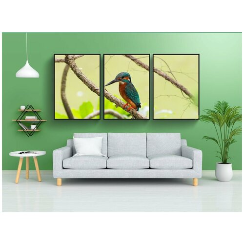 фото Набор модулных постеров для интерьера "зимородок, рыбная собака" 60x90 см. в тубусе, без рамки lotsprints