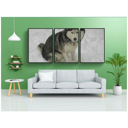 фото Набор модулных постеров для интерьера "хаски, снежный хаски, зима" 60x90 см. в тубусе, без рамки lotsprints