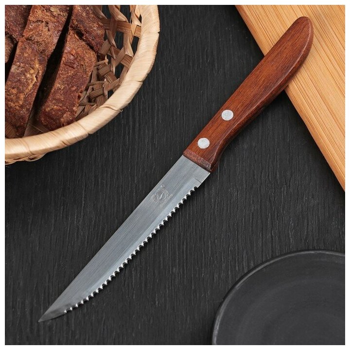 Доляна Нож кухонный «Эльбрус», зубчатое лезвие 11,5 см