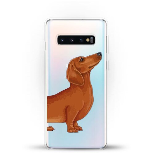 фото Силиконовый чехол коричневая такса на samsung galaxy s10 andy & paul