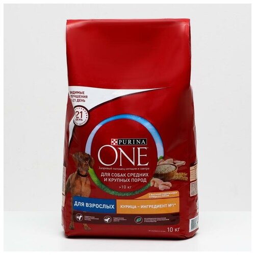 Purina ONE Сухой корм Purinа One medium/maxi для взрослых собак, курица/рис, 10 кг