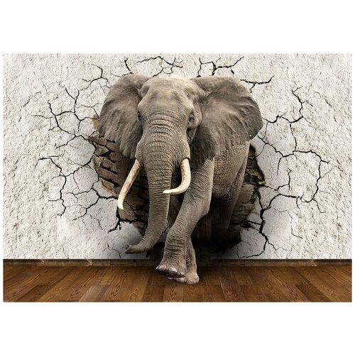 Слон 3D - Виниловые фотообои, (211х150 см) невесомость 3d виниловые фотообои 211х150 см