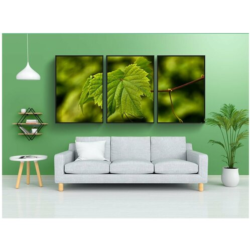 фото Набор модулных постеров для интерьера "винограда, лист, листва" 60x90 см. в тубусе, без рамки lotsprints