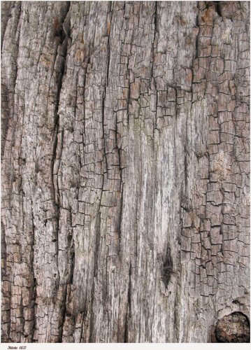 Изображение товара Рисовая бумага для декупажа карта салфетка А4 тонкая 0527 фон старая гнилая доска винтаж крафт Milotto