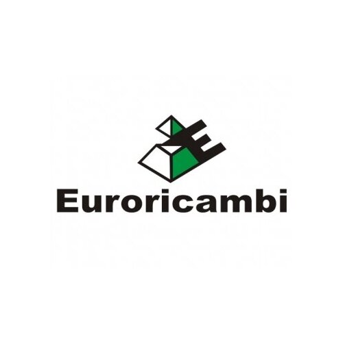 EURORICAMBI 60171354 EU60171354_корпус диференциала\ MB ACTROS