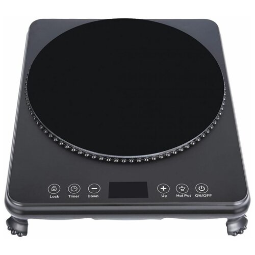 Индукционная Настольная плита National NK-IP911 черный 440000₽