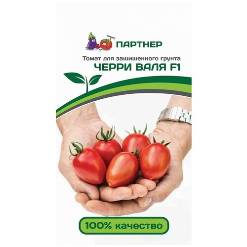 Семена Томата Черри Валя F1 (5 семян) томат черри валя f1 2 упаковки по 5 семян