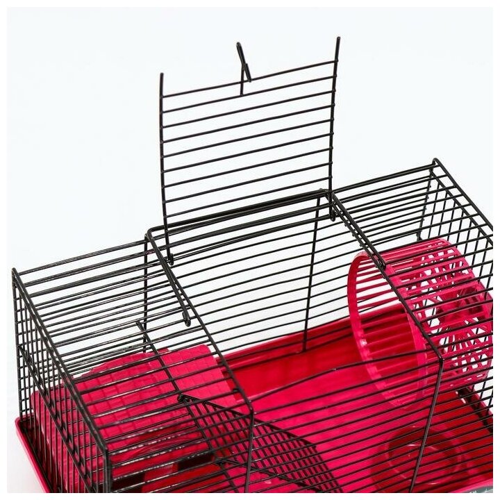 Клетка-мини для грызунов "Пижон" №2, укомплектованная, 27 х 15 х 16 см, рубиновая 7402457 - фотография № 6
