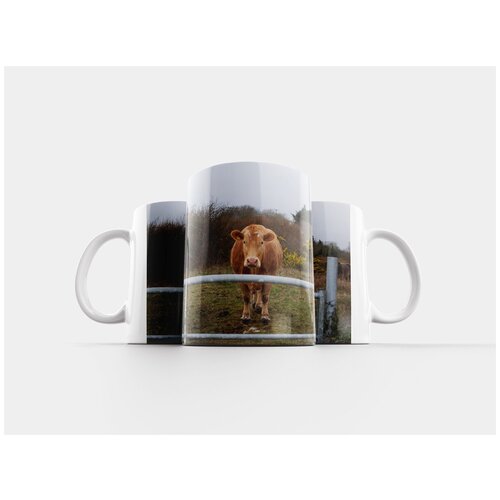 фото Кружка "корова, дикая природа, животное" 320 мл lotsprints