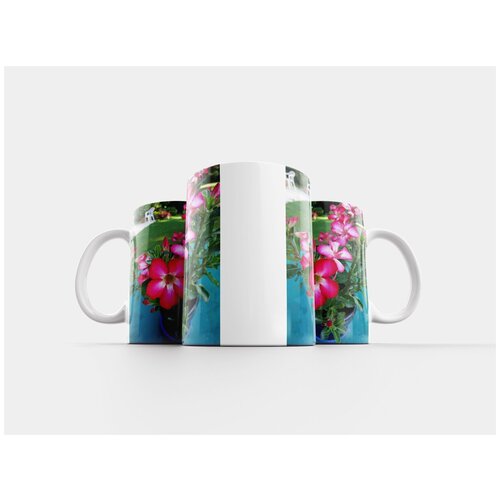 фото Кружка "баобаб шакал, экзотическое растение, цветок" 320 мл lotsprints